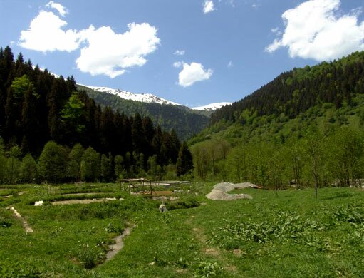 Fırtına deresi vadisi rize karadeniz gesi turizm tatil otel konaklama